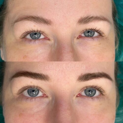 Henna Brows Vancouver DAELA Amie