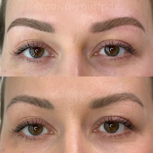 Ombre Powder Brows Vancouver DAELA Amie