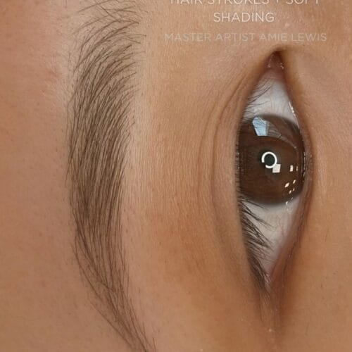 Combo Brows at Daela Cosmetic Tattoo in Portland by Amie Lewis