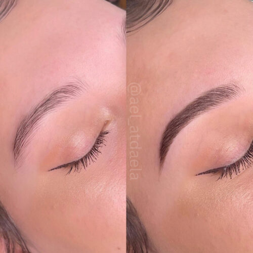 Henna Brows Vancouver DAELA Amie