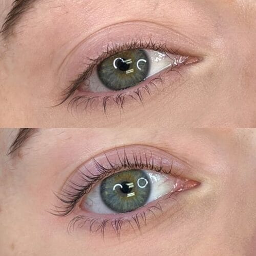 Lash Lift & Tint DAELA Cosmetic Tattoo Scottsdale-Hollis