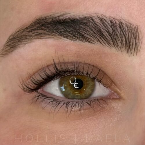 Lash Lift & Tint in Scottsdale by Hollis