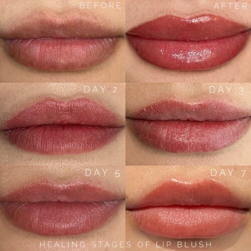 Lip Blush Tattoo DAELA Portland by Vivian