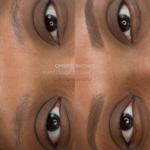 Ombre Brows at Daela Cosmetic Tattoo in Portland by Amie Lewis