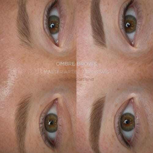 Ombre Brows at Daela Cosmetic Tattoo in Portland by Amie Lewis