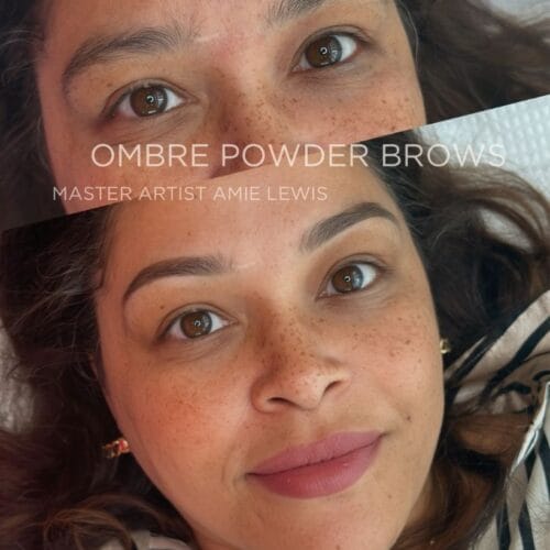 Ombre Brows at Daela Cosmetic Tattoo in Portland by Amie Lewis
