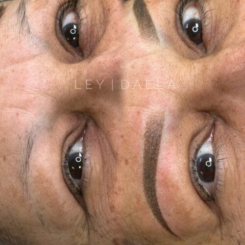 Ombre Powder Brows in Scottsdale at DAELA