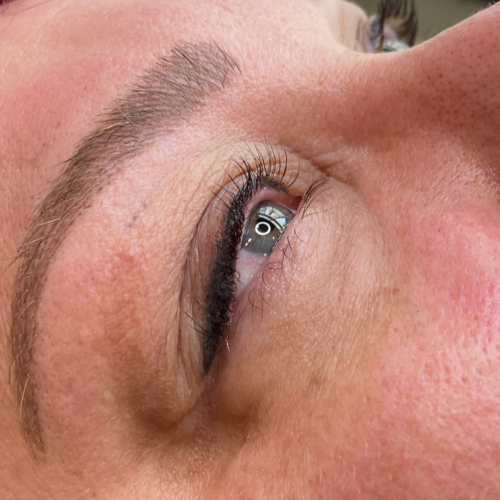 lash lift & tint daela portland