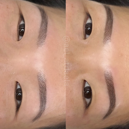 Ombre Powder Brows Vancouver DAELA Amie